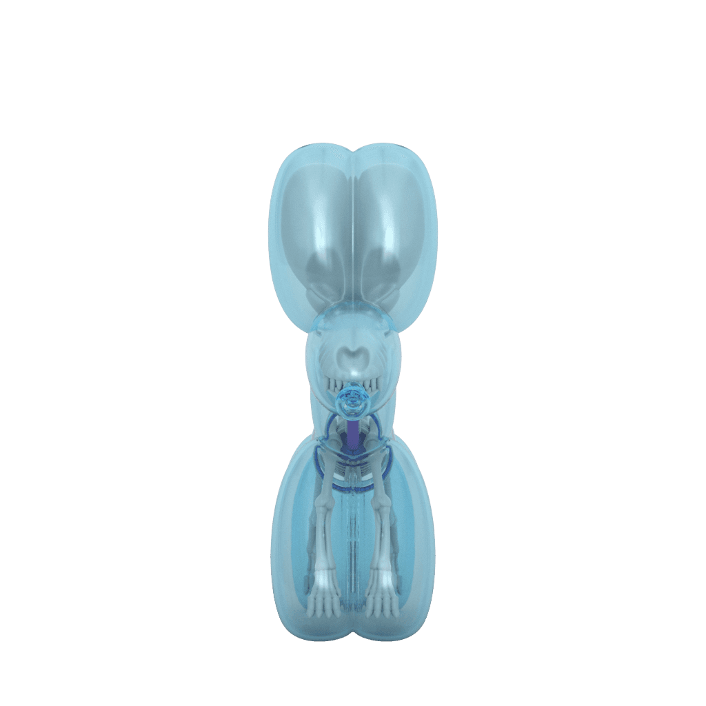 Funny Anatomy Balloon Dog (Sky Blue Edition) | Mighty Jaxx Funny Anatomy Balloon Dog (Sky Blue Edition) | Mighty Jaxx